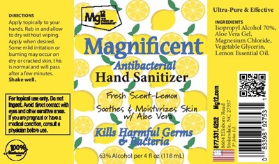 Magnificent Lemon Hand Sanitizer (Magnificent Lemon Hand Sanitizer)